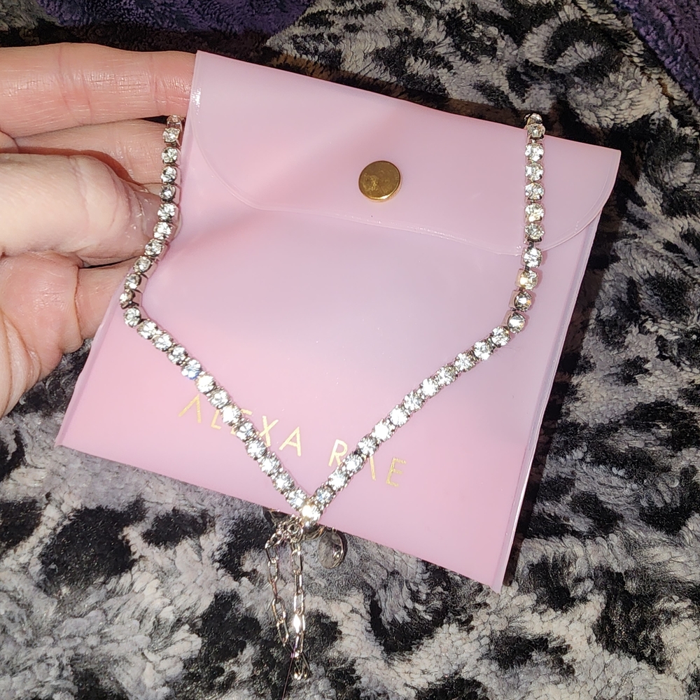 Alex and Ani Silver Necklace